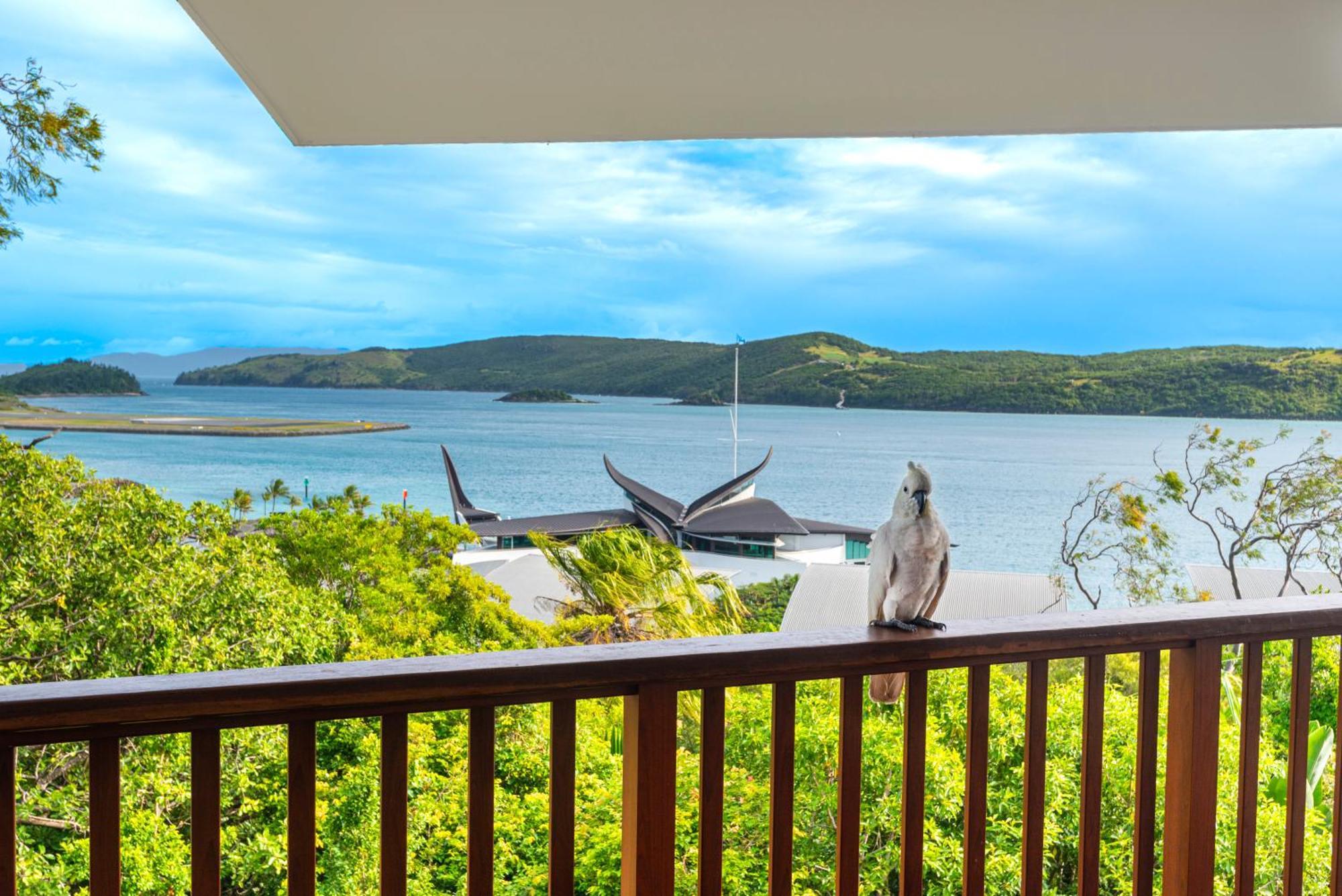 Appartement Casuarina Cove On Hamilton Island By Hiha Extérieur photo